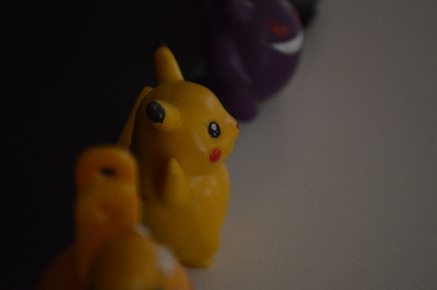 DSC_0017.jpeg