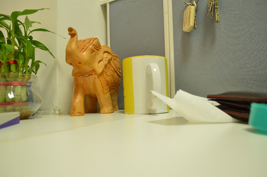 DSC_0120.jpeg